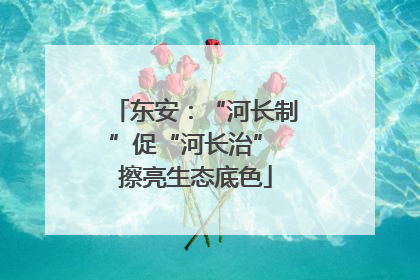 东安：“河长制”促“河长治” 擦亮生态底色