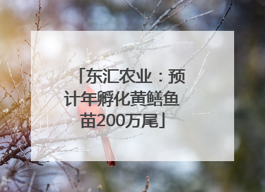 东汇农业：预计年孵化黄鳝鱼苗200万尾