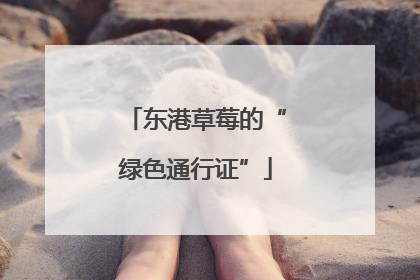 东港草莓的“绿色通行证”