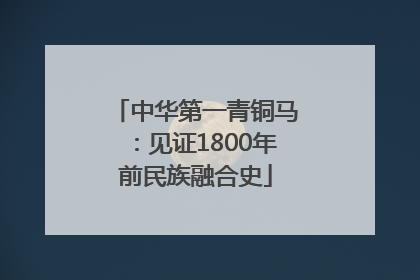 中华第一青铜马：见证1800年前民族融合史