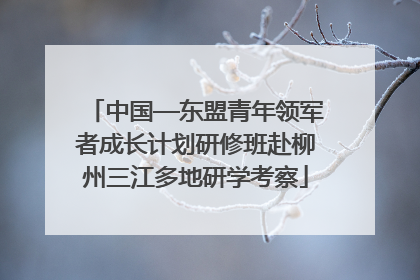 中国—东盟青年领军者成长计划研修班赴柳州三江多地研学考察