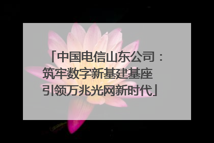中国电信山东公司：筑牢数字新基建基座 引领万兆光网新时代
