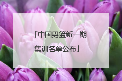 中国男篮新一期集训名单公布