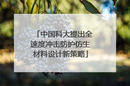 中国科大提出全速度冲击防护仿生材料设计新策略