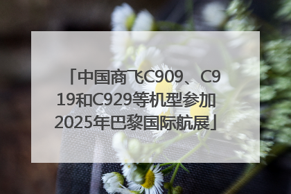 中国商飞C909、C919和C929等机型参加2025年巴黎国际航展