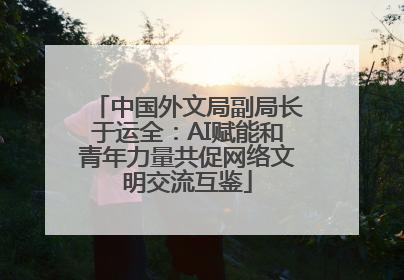 中国外文局副局长于运全：AI赋能和青年力量共促网络文明交流互鉴
