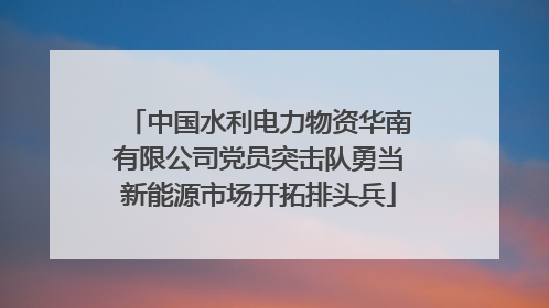 中国水利电力物资华南有限公司党员突击队勇当新能源市场开拓排头兵