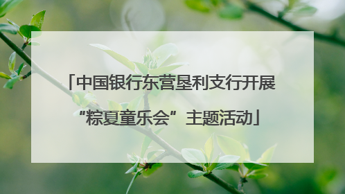 中国银行东营垦利支行开展 “粽夏童乐会”主题活动