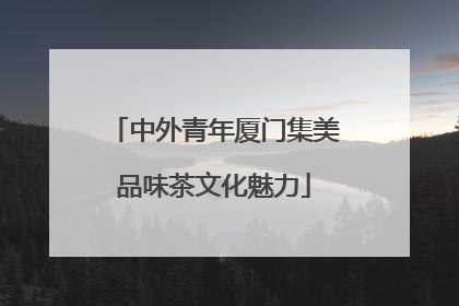 中外青年厦门集美品味茶文化魅力