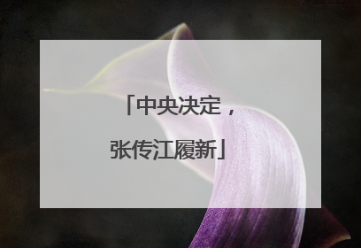 中央决定，张传江履新