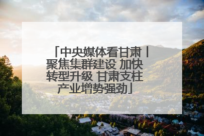 中央媒体看甘肃丨聚焦集群建设 加快转型升级 甘肃支柱产业增势强劲