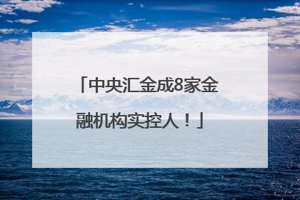 中央汇金成8家金融机构实控人！