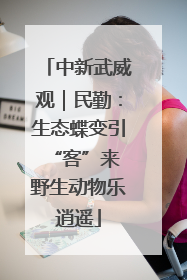 中新武威观｜民勤：生态蝶变引“客”来 野生动物乐逍遥