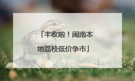 丰收啦！闽南本地荔枝低价争市