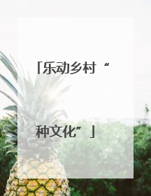 乐动乡村“种文化”