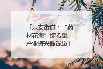 乐安街道：“药材花海”绽希望 产业振兴鼓钱袋