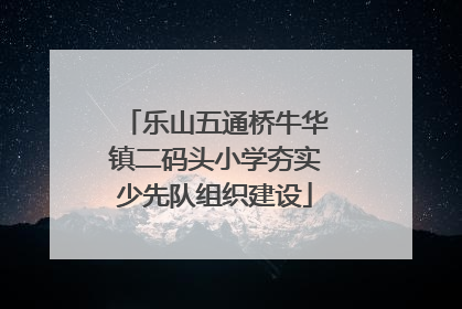 乐山五通桥牛华镇二码头小学夯实少先队组织建设