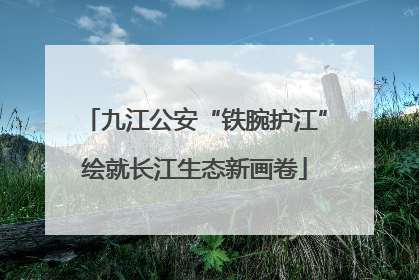 九江公安“铁腕护江”绘就长江生态新画卷