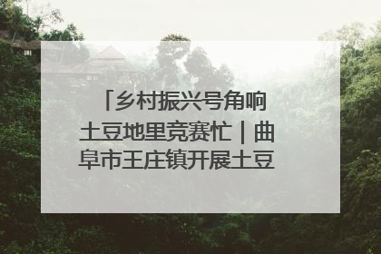乡村振兴号角响 土豆地里竞赛忙｜曲阜市王庄镇开展土豆收获劳动竞赛