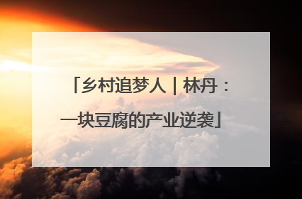 乡村追梦人｜林丹：一块豆腐的产业逆袭