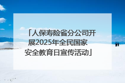 人保寿险省分公司开展2025年全民国家安全教育日宣传活动
