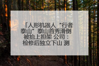 人形机器人“行者泰山”泰山首秀滑倒被抬上担架 公司：检修后独立下山 测试就是为暴露问题