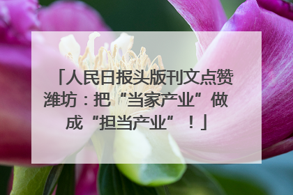 人民日报头版刊文点赞潍坊：把“当家产业”做成“担当产业”！