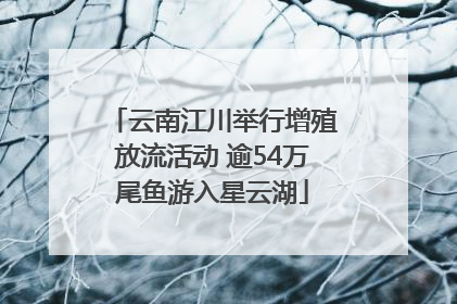 云南江川举行增殖放流活动 逾54万尾鱼游入星云湖