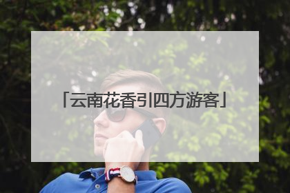 云南花香引四方游客