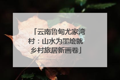 云南鲁甸尤家湾村：山水为墨绘就乡村旅居新画卷