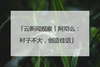 云新闻观察︱阿尼么：村子不大，创造佳话