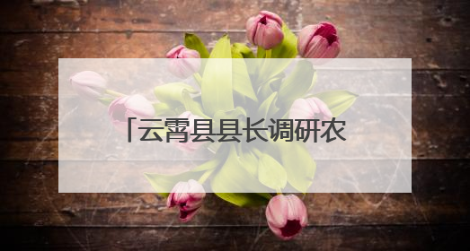 云霄县县长调研农村幸福院建设工作