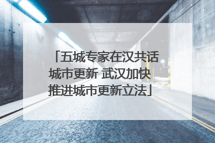 五城专家在汉共话城市更新 武汉加快推进城市更新立法