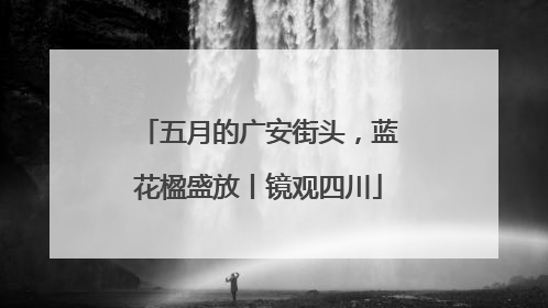 五月的广安街头，蓝花楹盛放丨镜观四川