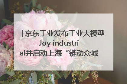 京东工业发布工业大模型Joy industrial并启动上海“链动众城 万亿降本”计划