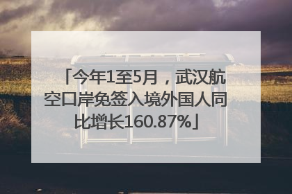 今年1至5月，武汉航空口岸免签入境外国人同比增长160.87%
