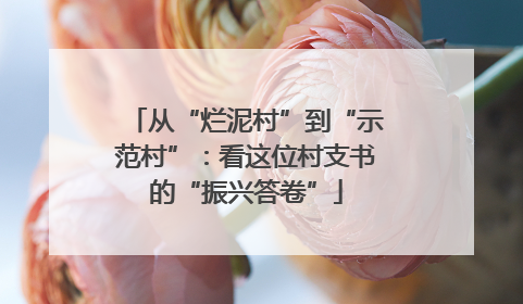 从“烂泥村”到“示范村”：看这位村支书的“振兴答卷”