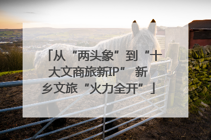 从“两头象”到“十大文商旅新IP” 新乡文旅“火力全开”