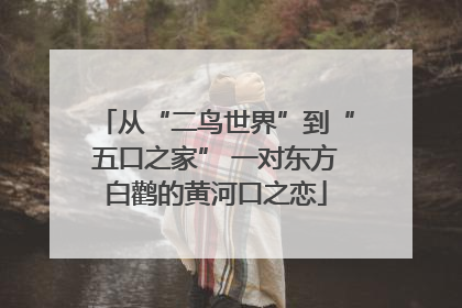 从“二鸟世界”到“五口之家” 一对东方白鹳的黄河口之恋