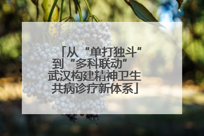 从“单打独斗”到“多科联动” 武汉构建精神卫生共病诊疗新体系
