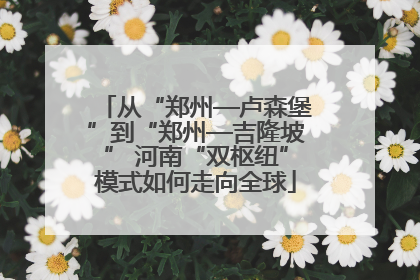 从“郑州—卢森堡”到“郑州—吉隆坡” 河南“双枢纽”模式如何走向全球
