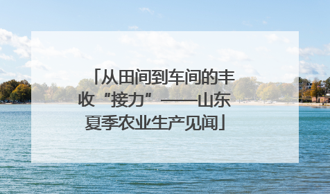 从田间到车间的丰收“接力”——山东夏季农业生产见闻