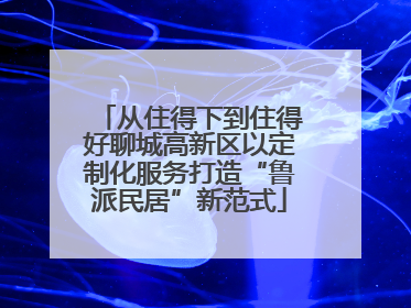 从住得下到住得好聊城高新区以定制化服务打造“鲁派民居”新范式