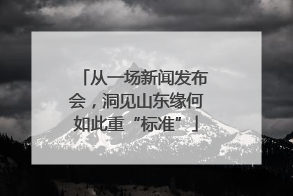 从一场新闻发布会，洞见山东缘何如此重“标准”