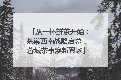 从一杯鲜茶开始：茶巢西南战略启幕，蓉城茶事焕新登场