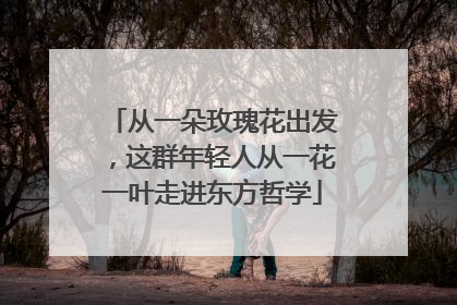 从一朵玫瑰花出发，这群年轻人从一花一叶走进东方哲学