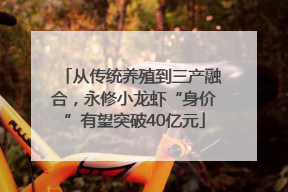 从传统养殖到三产融合，永修小龙虾“身价”有望突破40亿元