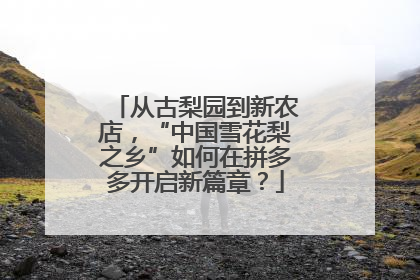 从古梨园到新农店，“中国雪花梨之乡”如何在拼多多开启新篇章？