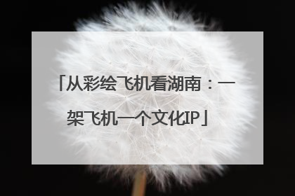 从彩绘飞机看湖南：一架飞机一个文化IP