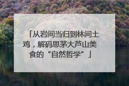 从岩间当归到林间土鸡，解码思茅大芦山美食的“自然哲学”